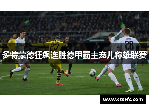 多特蒙德狂飙连胜德甲霸主宠儿称雄联赛