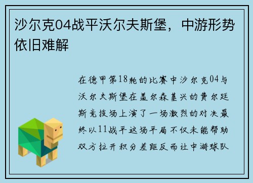 沙尔克04战平沃尔夫斯堡，中游形势依旧难解